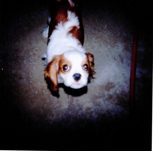 Charlie