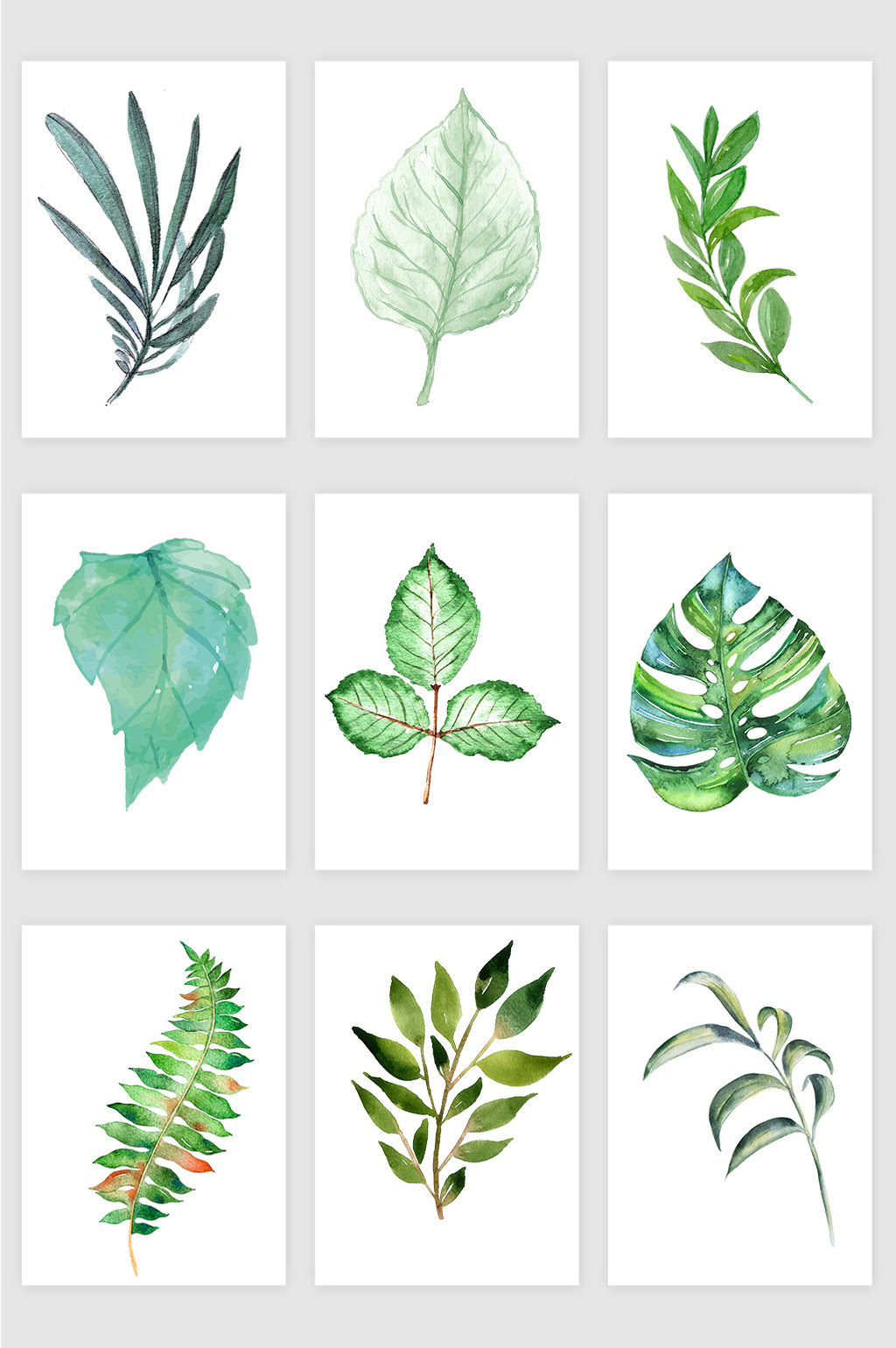 手绘植物素材 万图壁纸网