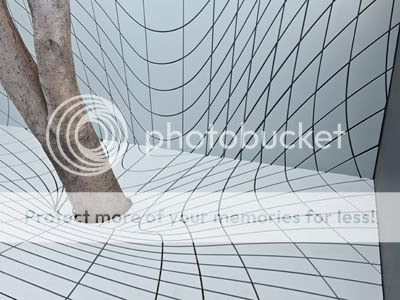 Deformscape 5