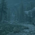 Aesthetic Forest Wallpaper Pc / 1920x1080 px Aesthetic neon Nature Forests HD Art ... - Check spelling or type a new query.