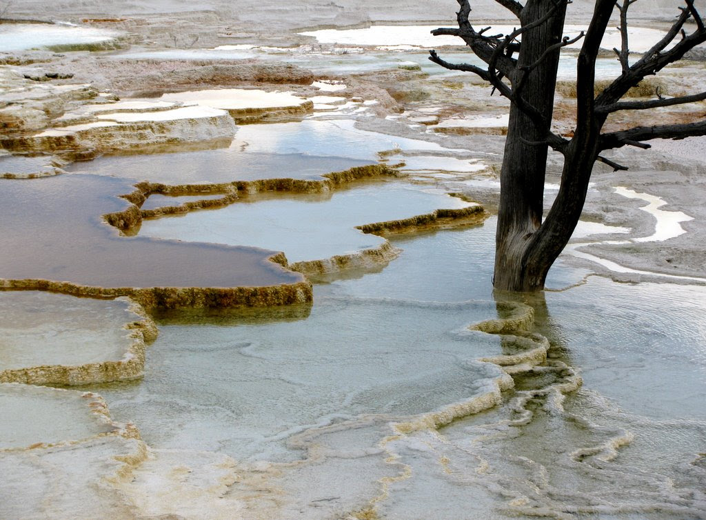 Mammoth Hot Springs - USA|luckytrips