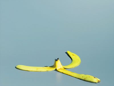 That's Bananas!