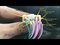 At Amp T Wiring Diagram