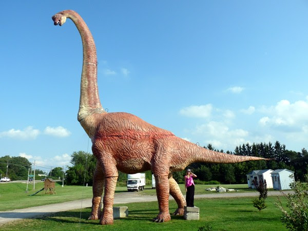 dino5