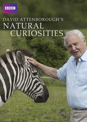 David Attenborough's Natural Curiosities - Season 1