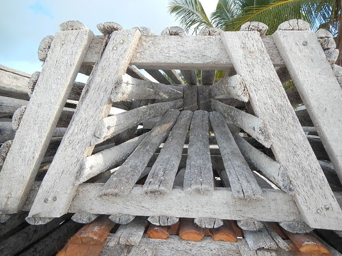 Detail of opening of lobster trap