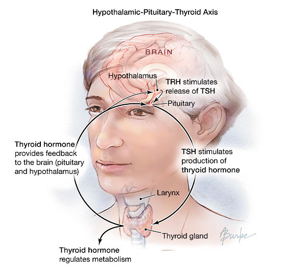 Subclinical HyperthyroidisWhen and How It Should Be Treated