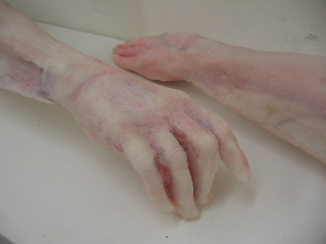 http://24.media.tumblr.com/f4a5e19473eff2dbf4c94cc54a4e66ee/tumblr_mgt0pbwzcd1r2fbago1_1280.jpg