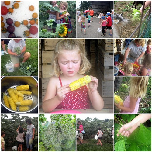 Week 7 of Kids in the Garden at Lapacek's Orchard - mosaic