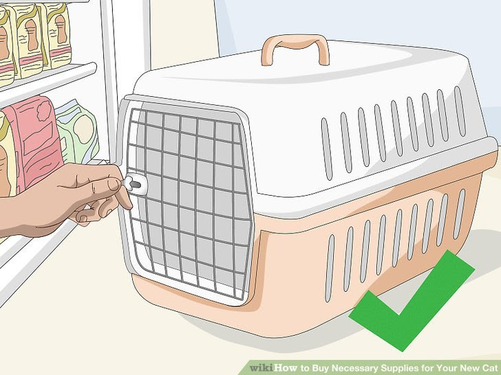 Buy Necessary Supplies for Your New Cat Step 1.jpg