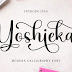 Download Yoshieka Fonts Family From Mega Type