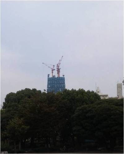 スタッフ日記 東京スカイツリー グランドオープン Symons スタッフ日記