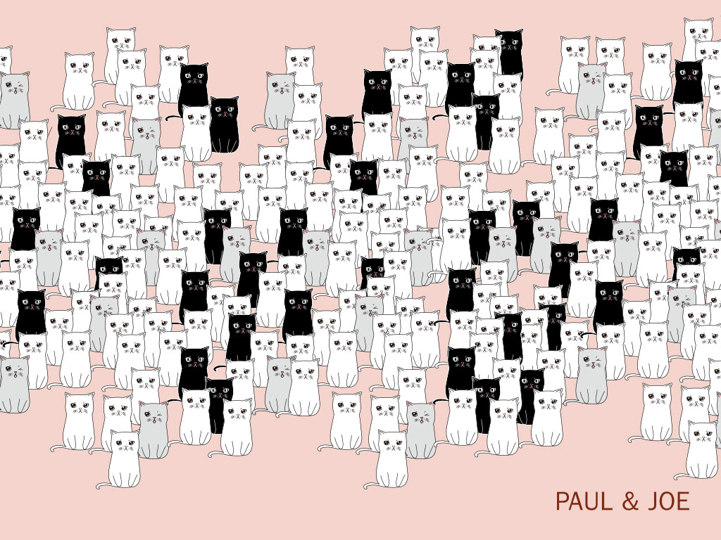 無料でダウンロード Pauljoe 壁紙 無料のhd壁紙画像