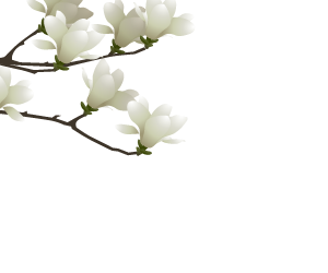 花図鑑 花イラストと女の子のアニメーションガジェット 花暦はなごよみ