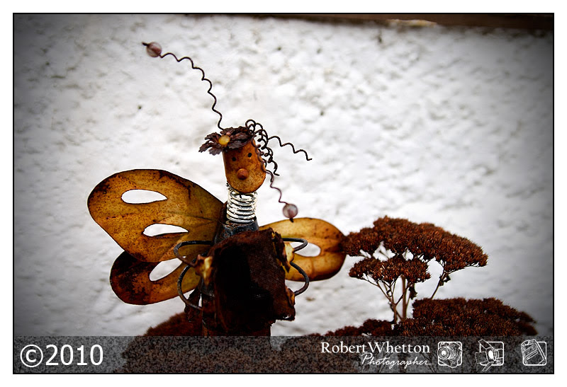 365 Project 1 photograph a day for a year. Photography by Robert Whetton Events Photographer