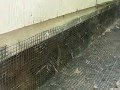 How to make a shed under your deck
 