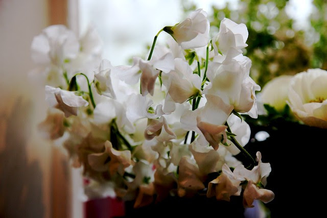 sweet peas 
