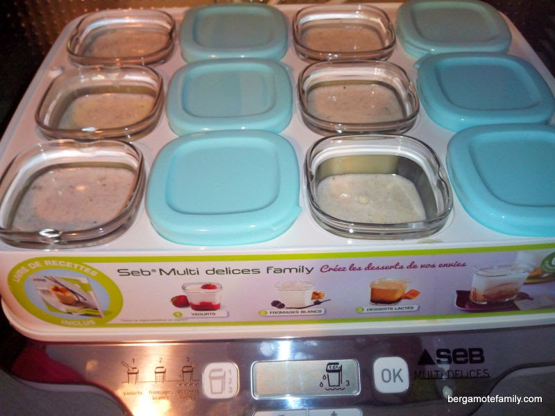 Recettes De Yaourts Maison Pour Bebe Bergamote Family