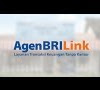 Logo Brilink