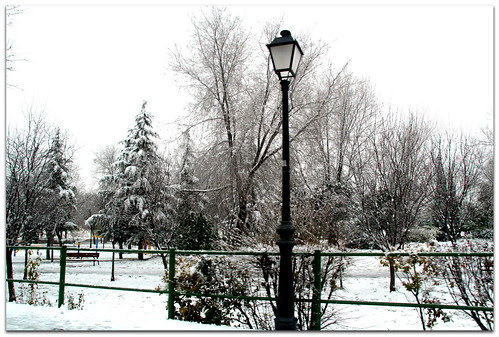 el parque
