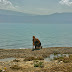 Jalalabad Kyrgyzstan / Jalalabad Travel Guide / Let's see whats new the city has to.
