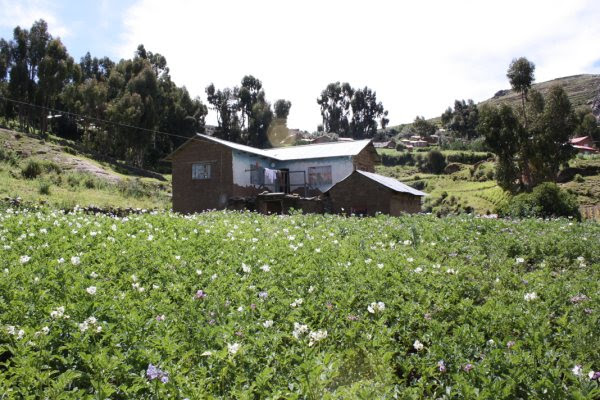 Isla Amantani, nuestra casita
