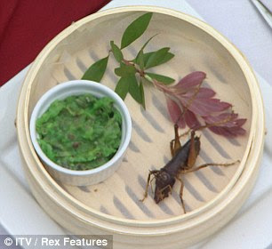 Not every appetising: Mark's main course was cricket crudité¿ - a king cricket served with vomit fruit dipping sauce - while Dougie had the ostrich anus