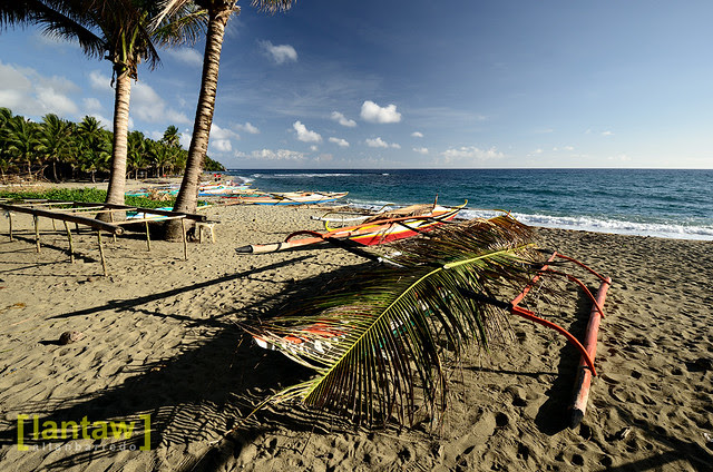 Natural Sun Shade