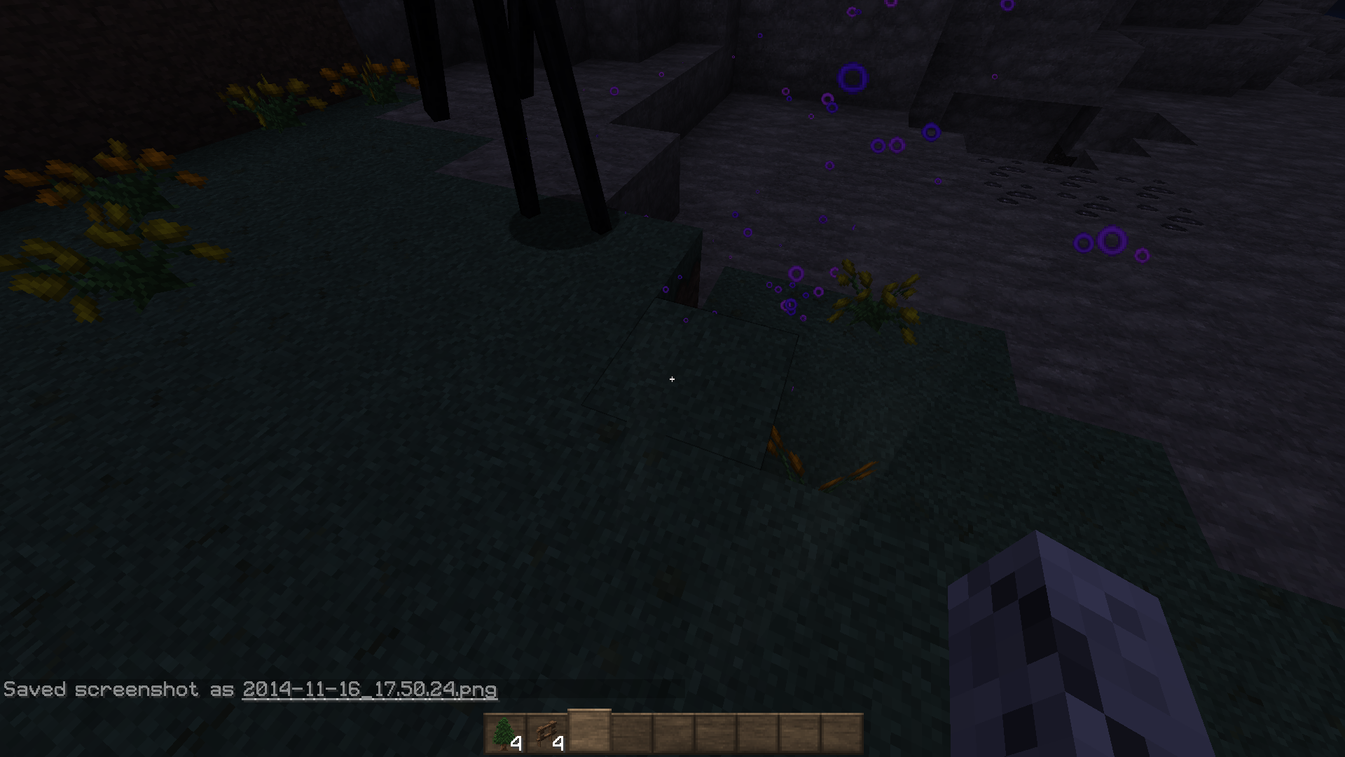 Sorcerer Enderman (glitch?) - Survival Mode - Minecraft 