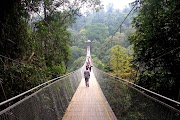 Tren Gaya 31+ Wisata Pangrango Sukabumi