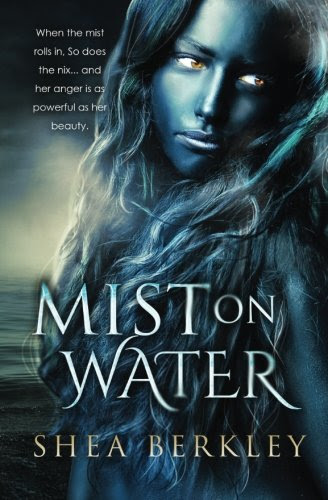 Mist on Water, by Shea Berkley
