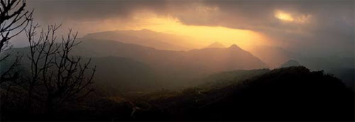 ชมพูภูคา ดอยภูคา