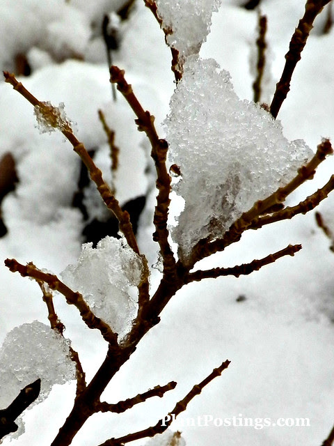 crystals