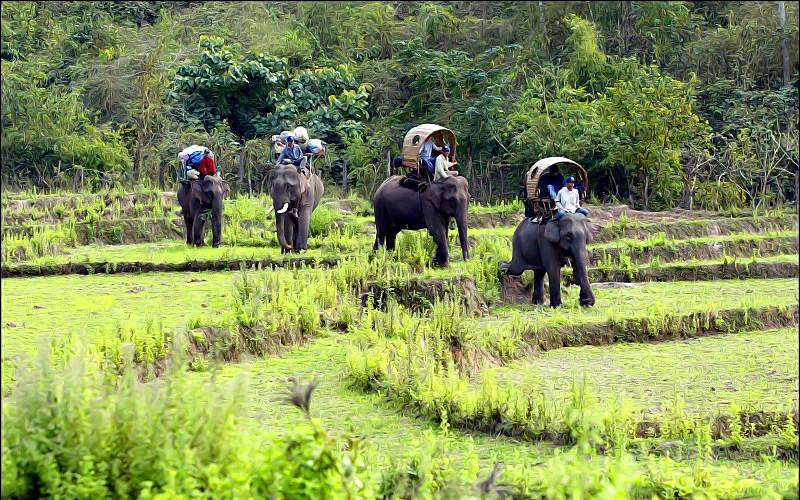 Top Destination Laos with Luxury Laos Tours