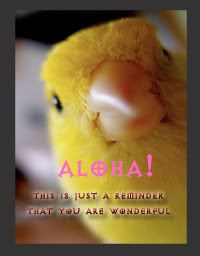 You Are Wonderful