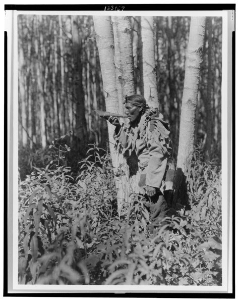 Description of  Title: Calling a moose--Cree.  <br />Date Created/Published: c1927.  <br />Summary: Cree man in woods blowing horn.  <br />Photograph by Edward S. Curtis, Curtis (Edward S.) Collection, Library of Congress Prints and Photographs Division Washington, D.C.