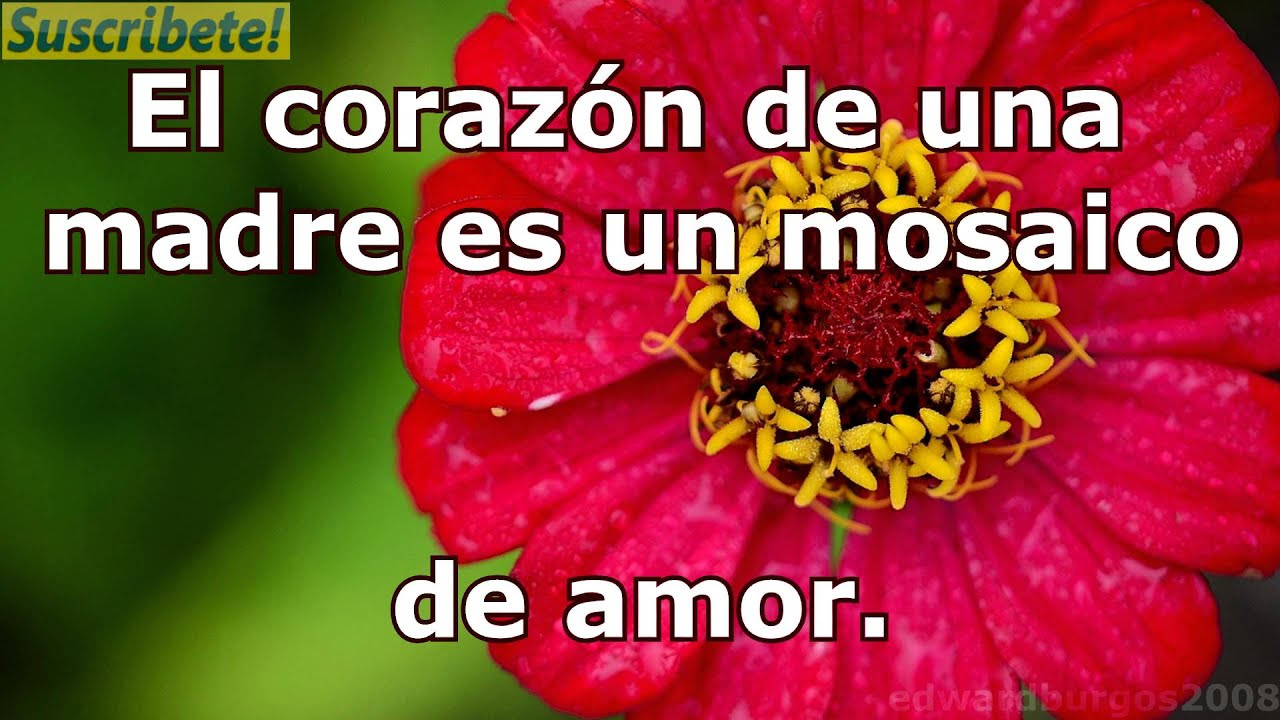 imagenes y mensajes dia de la madre 2015 para compartir ...