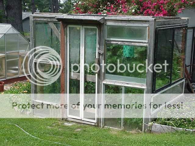 building a greenhouse out of old windows - Greenhouses & Garden ...