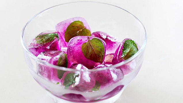 Freeze Tea in Ice Cube Trays for Better, Less Watery Iced Tea