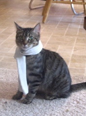 Maggie has a scarf