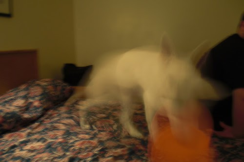 Oct. 8th-Howard Johnson Hotel in Kemptville, Ontario-4