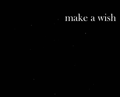 http://24.media.tumblr.com/1a4c831019f064eed2fffe8c635855c2/tumblr_mwznz9lWXY1t12qvlo1_500.gif