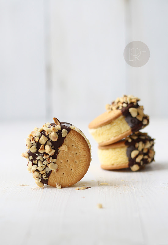 Sandwich Galleta