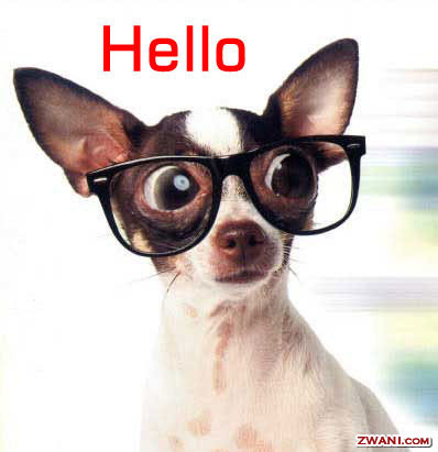 dog hello
