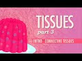 Tissues, Part 3 - Connective Tissues: Crash Course A&P #4
