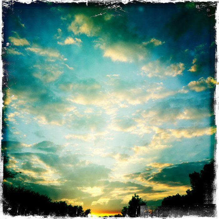 Beautiful Photos Taken with Camera Phones (35 pics)