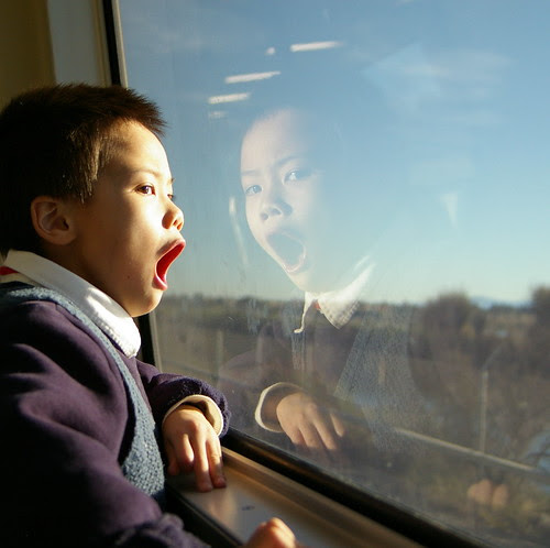 My Z lion taken with Pentax SMC FA 28-80 f/3.5-4.7 power zoom