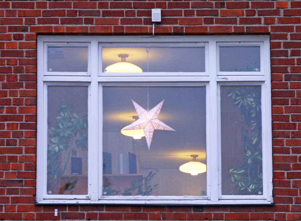 Library Window