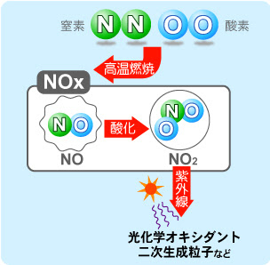 自動車排出ガスに含まれる主な大気汚染物質 九都県市あおぞらネットワーク