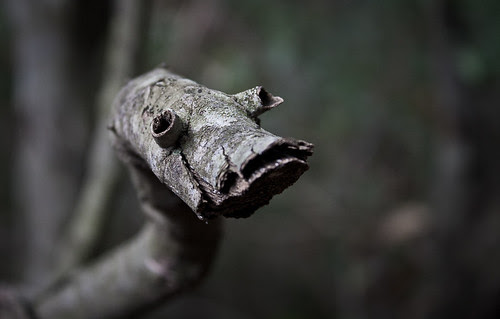 A wooden snake